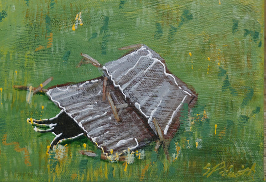 Sam Patterson-Smith - The Day The Old Shed Fell