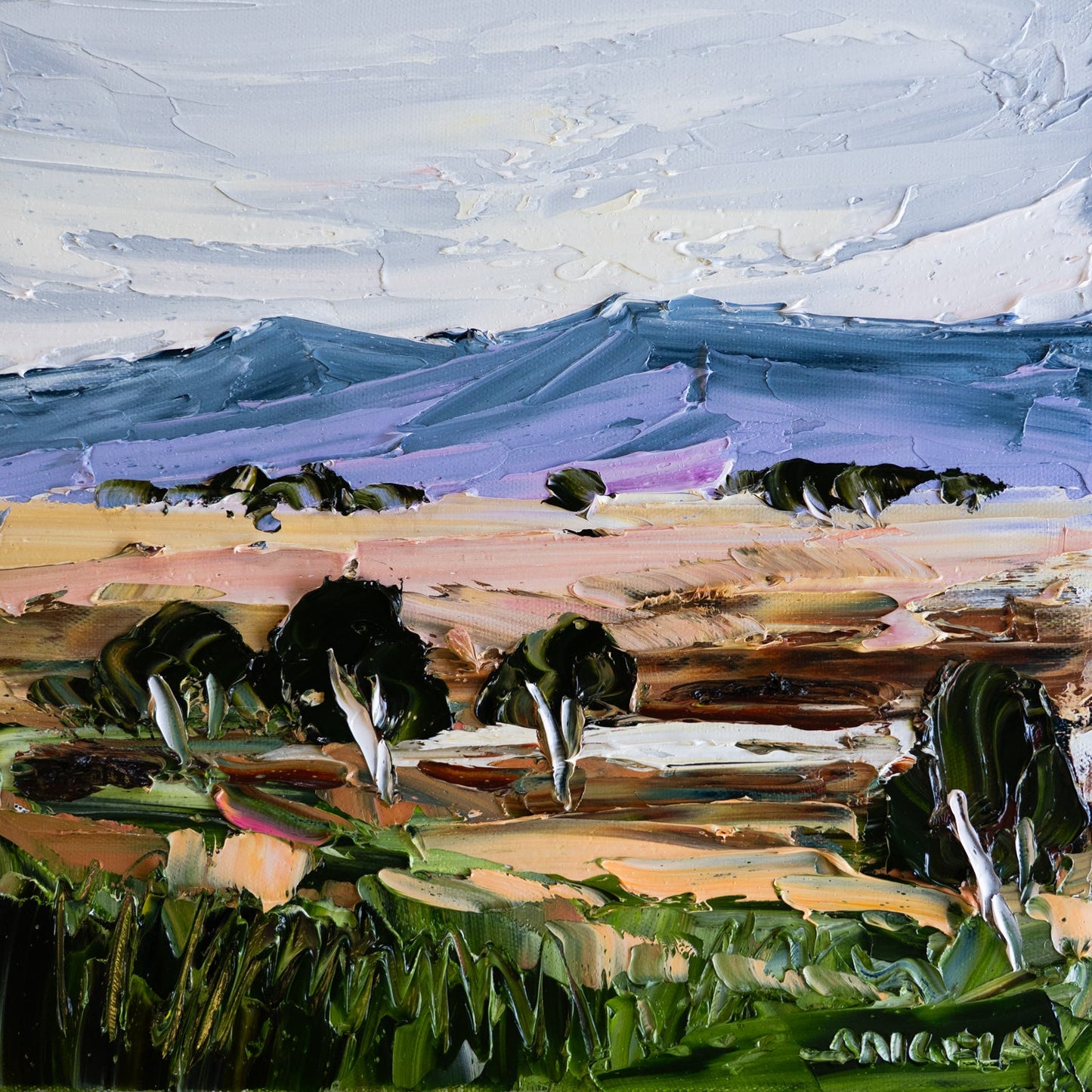 Angela Hawkey - Open Country
