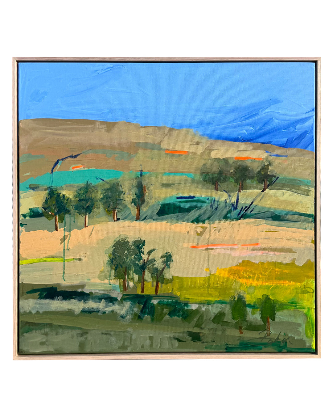 Baker Collection - Between the Sky & Silence