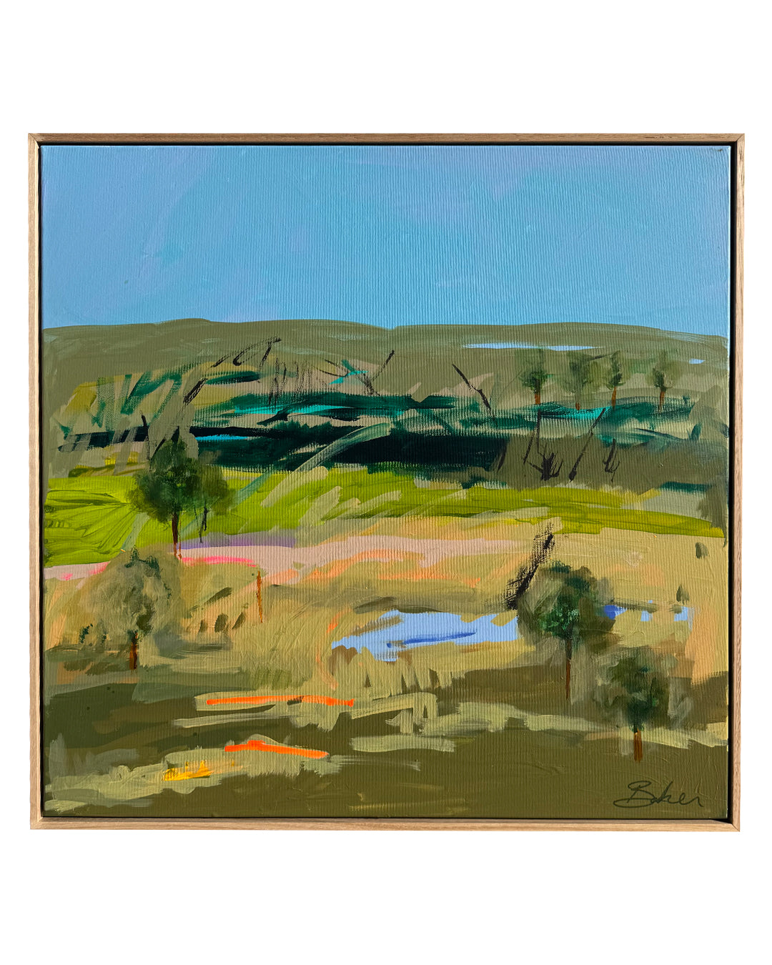 Baker Collection - Landscape Dreams