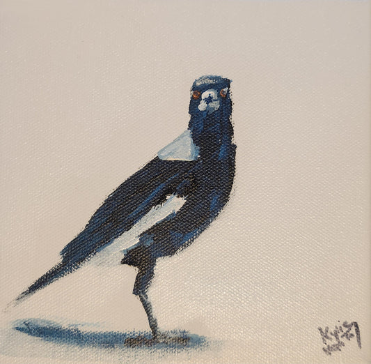 Kylie Van Tol - Curious Magpie 2