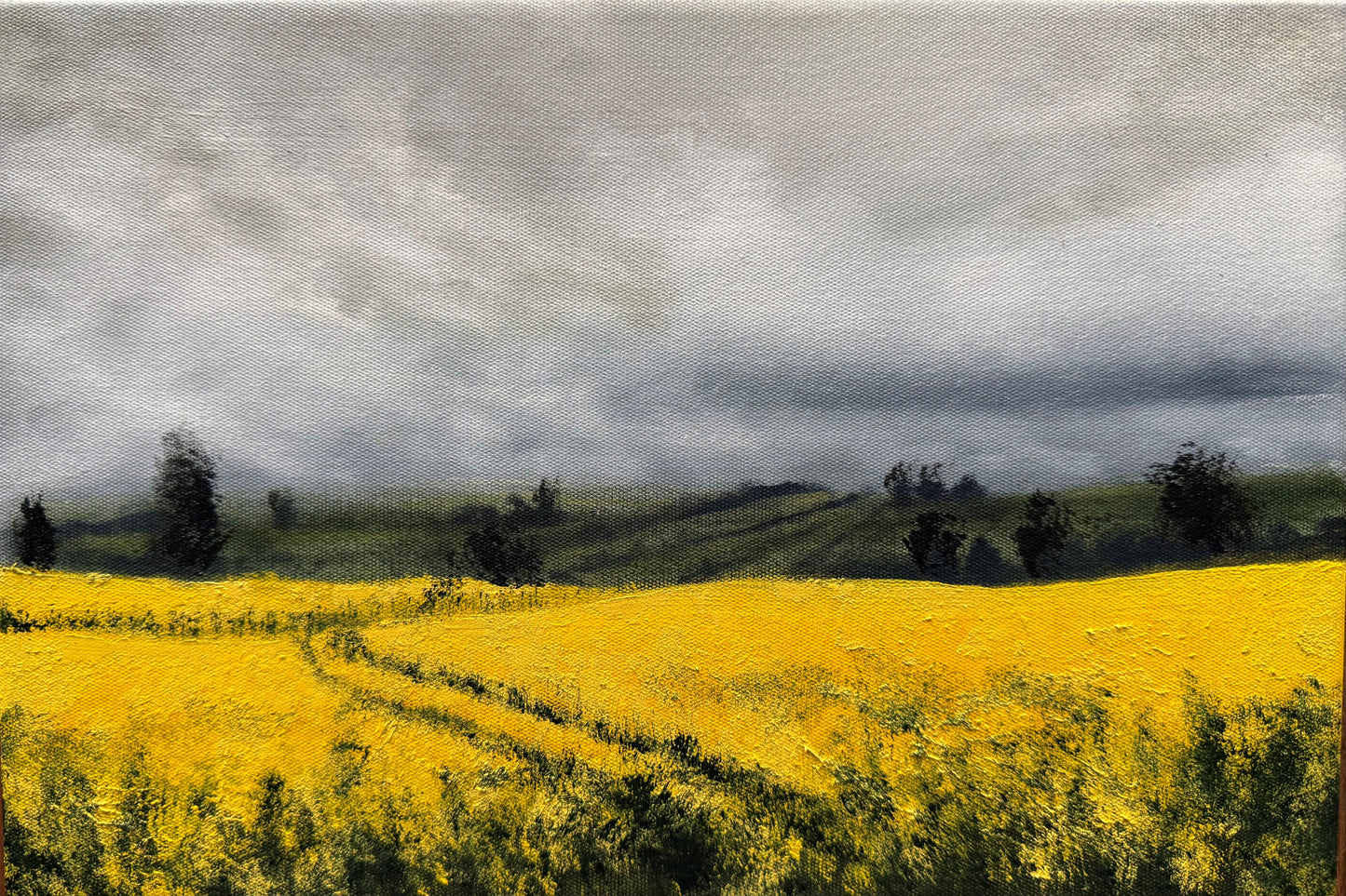 Kelly Kondis - Alacrity