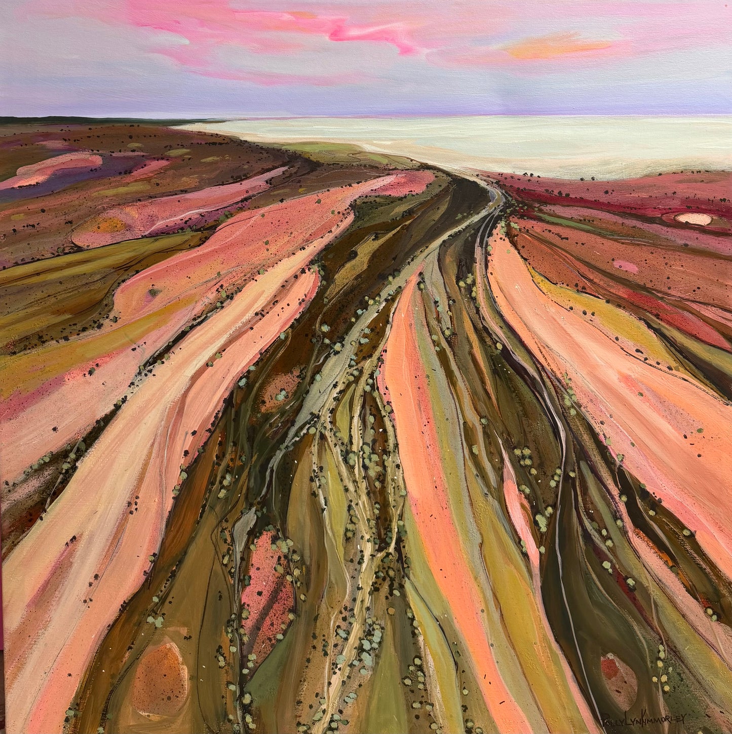 Polly Kimmorley - Beauty of Lake Eyre from Above