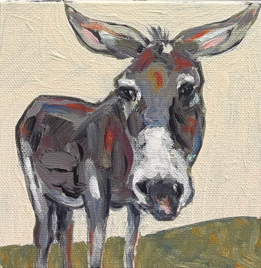 Karen Gray - A moment to reflect