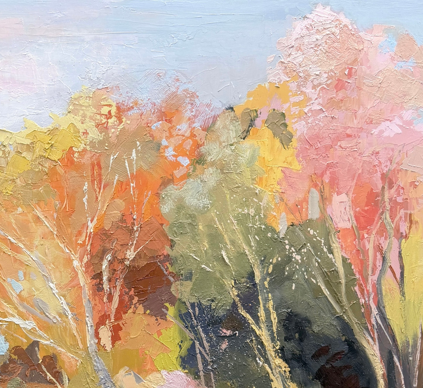 Rachel Melchers - The Trees Glow Pink and Gold