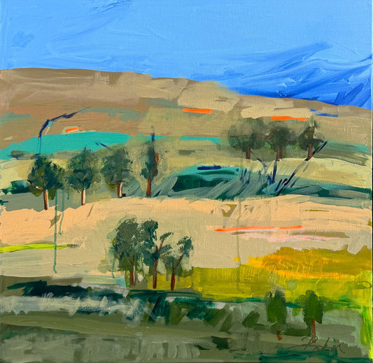 Baker Collection - Between the Sky & Silence